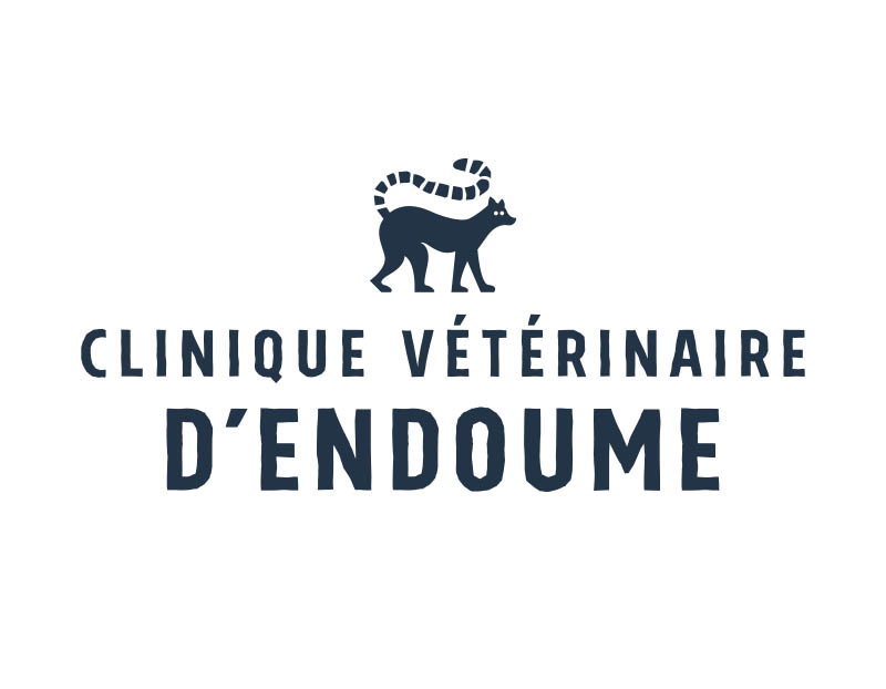 Vétérinaire spécialisé en NAC (nouveaux animaux de compagnie) à Marseille